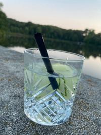 Der perfekte Sommerdrink: Gin-Tonic mit Gurke; Bildquellen Wolfgang Ahrens Hotelier.de