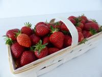 Ein Bild von Erdbeeren - erntefrisch von der Geest zwischen Stade und Buxthude