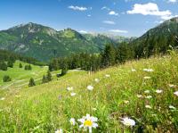 Wunderbare Alpenwelt