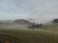 Nebel umspielte Berge im Odenwald auf der Tromm