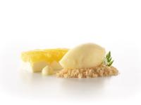 Ananassorbet und Ananasschnitte mit Zitruscreme / Bildquelle: PACOJET AG