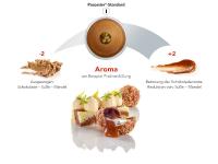 Mit der Pacossier®-Intensität zum Signature Dish: Verändern des Aromas / Bildquelle: Alle Bilder Pacojet AG