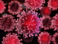 Schematische Corona-Virus Darstellung 