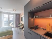Serviced Apartment Spülbereich / Bildquelle: Beide Black Forest Hospitality GmbH