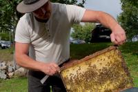 Bienenkontrolle bei der Imkerei Baumgarten