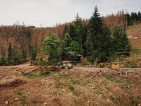 Der Harz erfährt aktuell gravierende Veränderungen. Die hier abgebildete Hexenhütte stand bis vor kurzem  noch mitten im Wald. Auch wird es mit zunehmendem Baumsterben immer schwieriger Bäume zu finden, die  stabil genug sind um Kletteraktionen durchzuführen. Dies zeigt mehr und mehr die Dringlichkeit zu  nachhaltigem Handeln. / Bildquelle: Tana-Chemie GmbH. 
