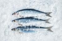 Hochwertiger Fisch: Bei Friesenkrone wird beste Heringsrohware aus der kalten Norwegischen See und der Nordsee verarbeitet.